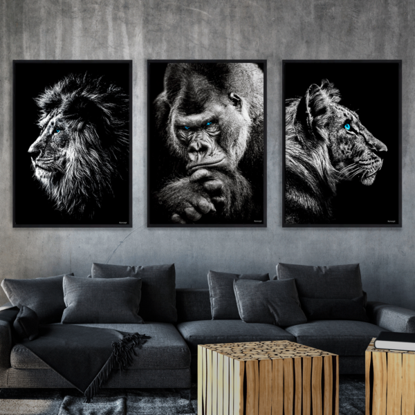 3 posters 70x100cm 5