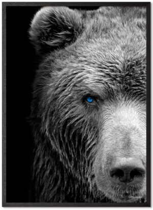 Bear Poster