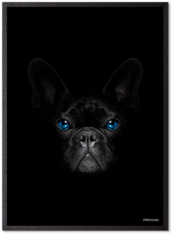 French Bulldog Poster